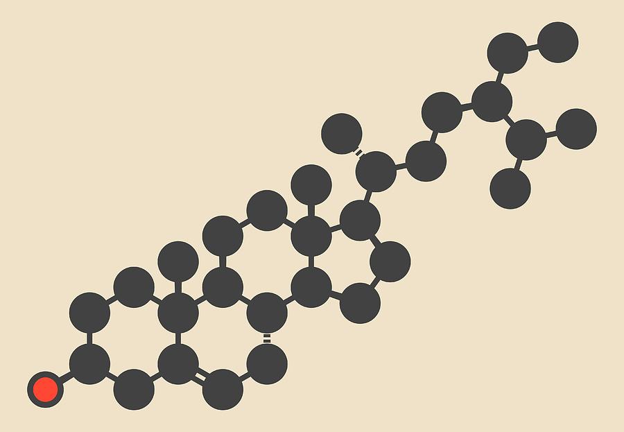 Beta-sitosterol for prostate health: clinical research and supplement options