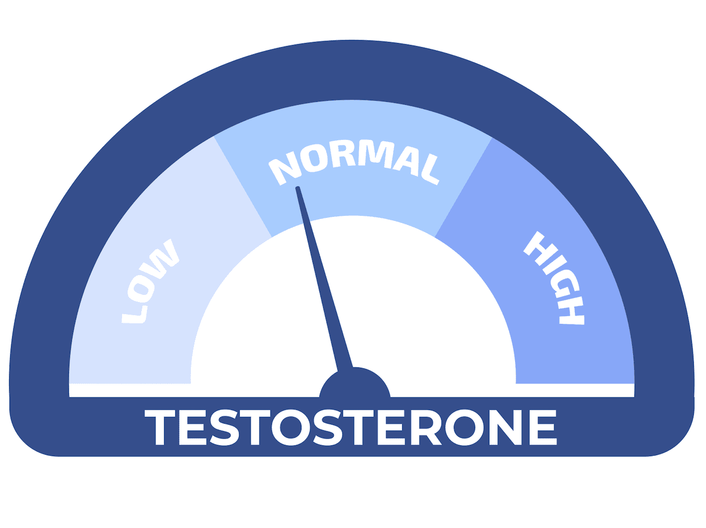 Tongkat Ali vs Ashwagandha for Testosterone: Testosil vs SpartaMax vs Erodus Compared