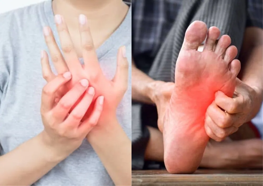 The Best Nerve-Support Supplements for Neuropathy (2026): What Actually Calms Burning, Tingling Feet and Hands