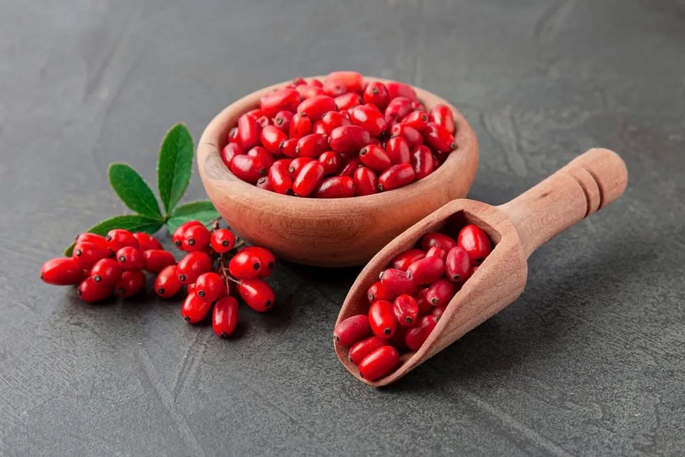Is Berberine nature's Ozempic — science vs hype