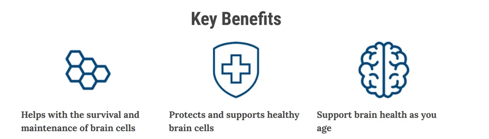 Advanced Memory Formula benefits overview