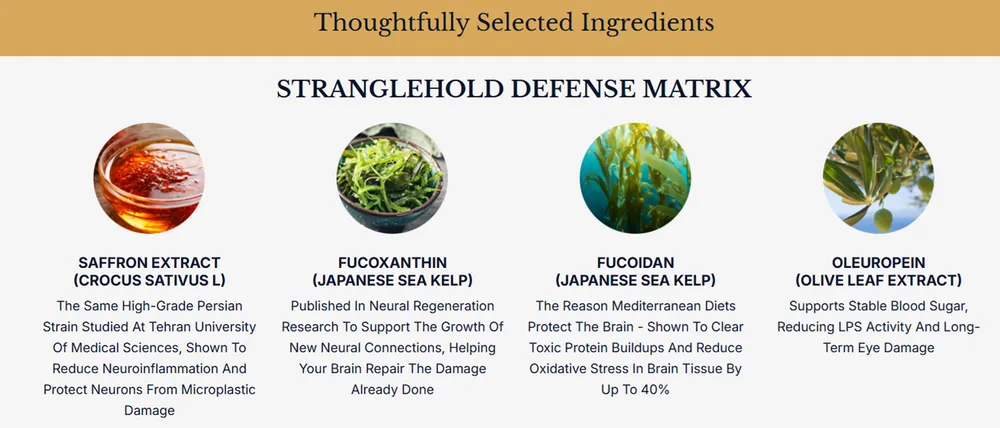 Phytomem One ingredients — saffron, fucoxanthin, fucoidan and oleuropein in the Stranglehold Defense Matrix