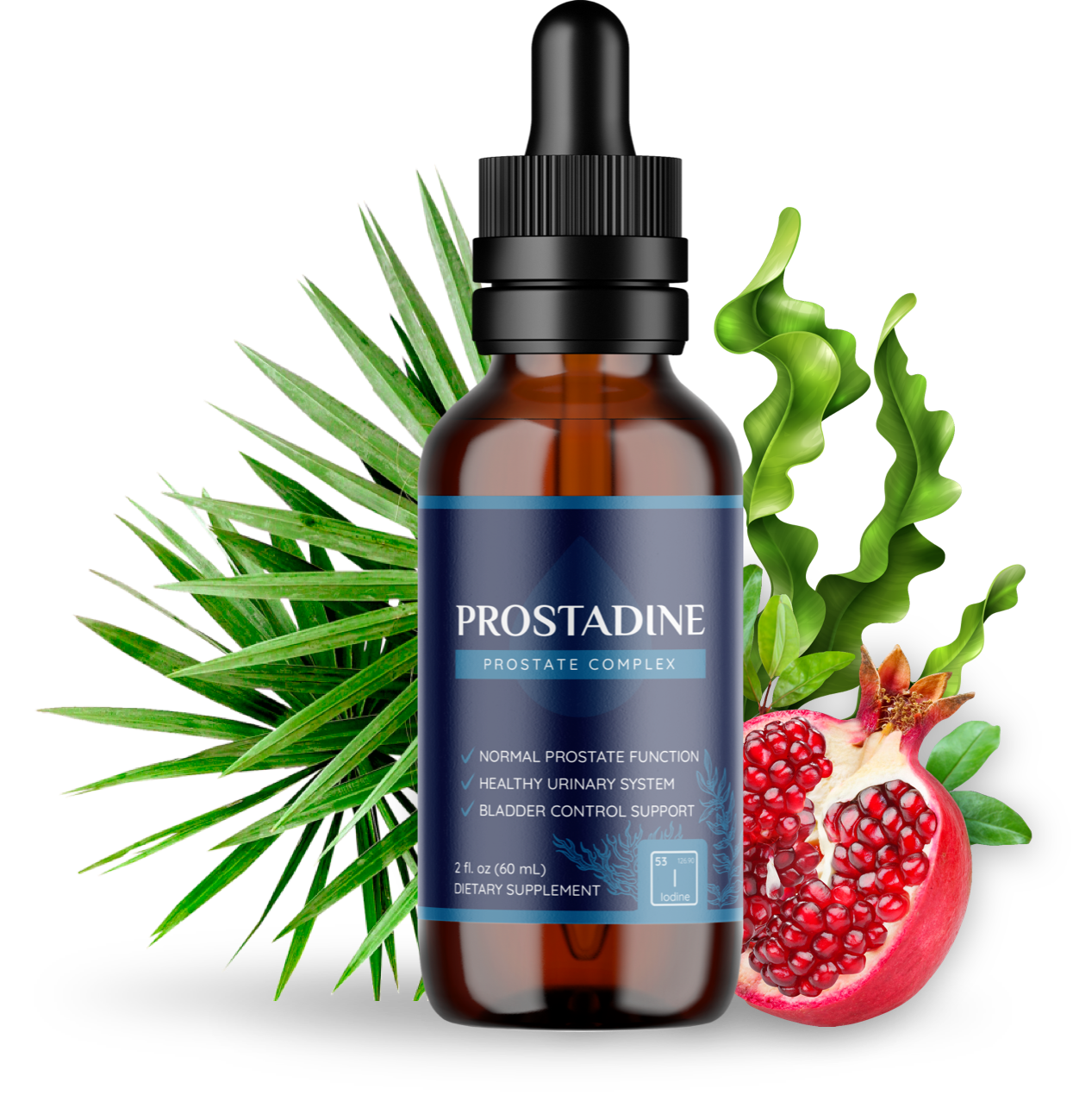 Prostadine Benefits — Long-Term Results Explained