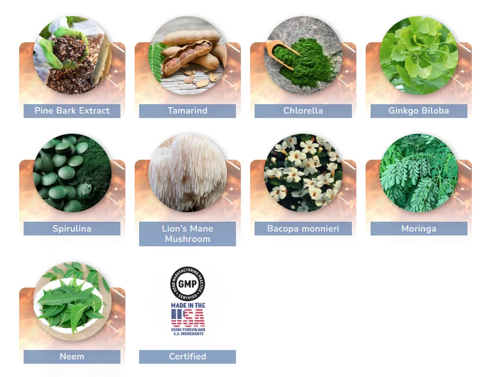 JointVive's 9-plant blend — Pine Bark, Tamarind, Chlorella, Ginkgo Biloba, Spirulina, Lion's Mane Mushroom, Bacopa Monnieri, Moringa and Neem