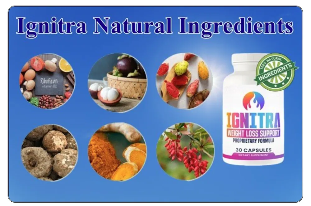 Ignitra Natural Ingredients — Berberine HCL, Prickly Pear, Konjac Glucomannan, Turmeric, Mangosteen, Riboflavin in proprietary formula
