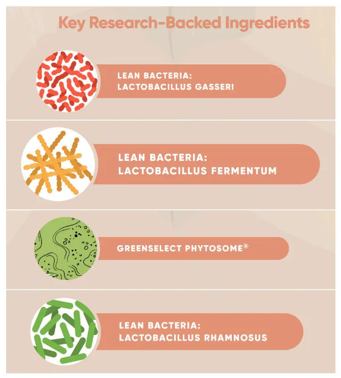 LeanBiome key research-backed ingredients — Lactobacillus Gasseri, Lactobacillus Fermentum, Greenselect Phytosome, and Lactobacillus Rhamnosus visualized