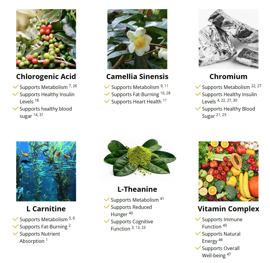 Metabo Drops supplement facts — 6-compound formula (Chlorogenic Acid, Camellia Sinensis, Chromium, L-Carnitine, L-Theanine, Vitamin Complex) for metabolism, fat-burning, energy, and appetite control