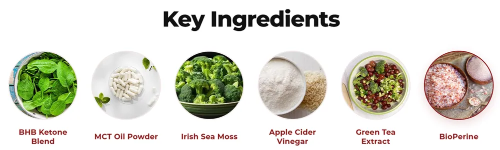 MetaTrim BHB key ingredients — BHB ketone blend, MCT oil powder, Irish sea moss, apple cider vinegar, green tea extract, BioPerine