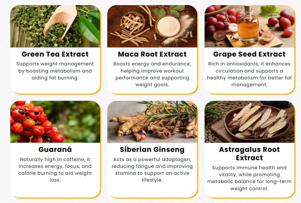 VittaBurn ingredients — thermogenic botanical spectrum: Green Tea, Maca, Grape Seed, Guaraná, Siberian Ginseng, and Astragalus root extract