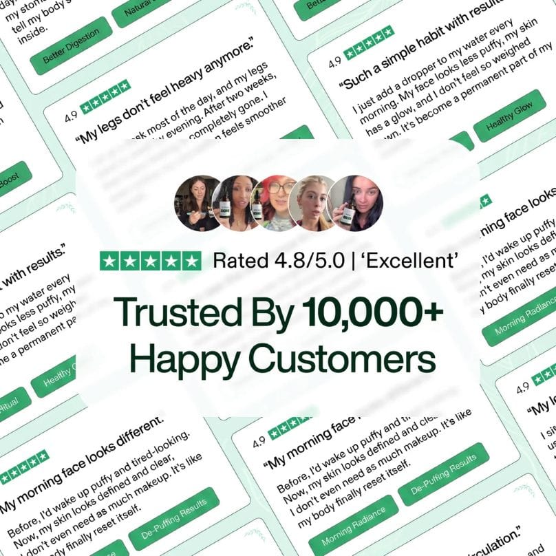 Rated 4.8/5.0 — Trusted by 18,000+ happy customers