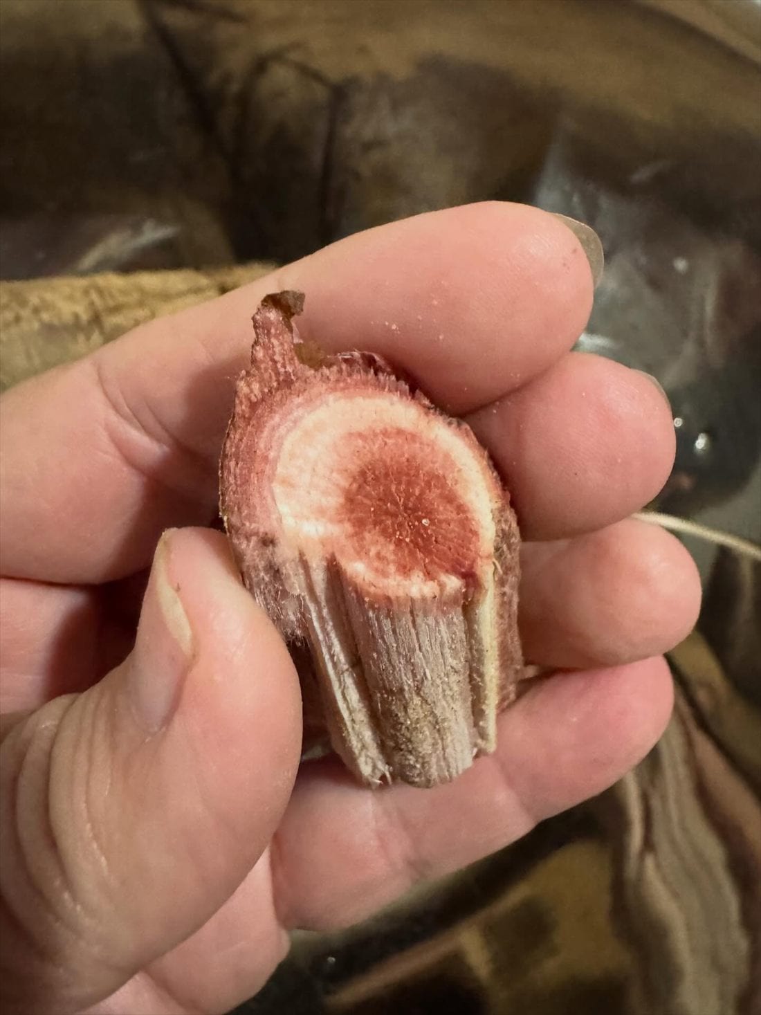Waking up with lighter legs after the overnight flush
